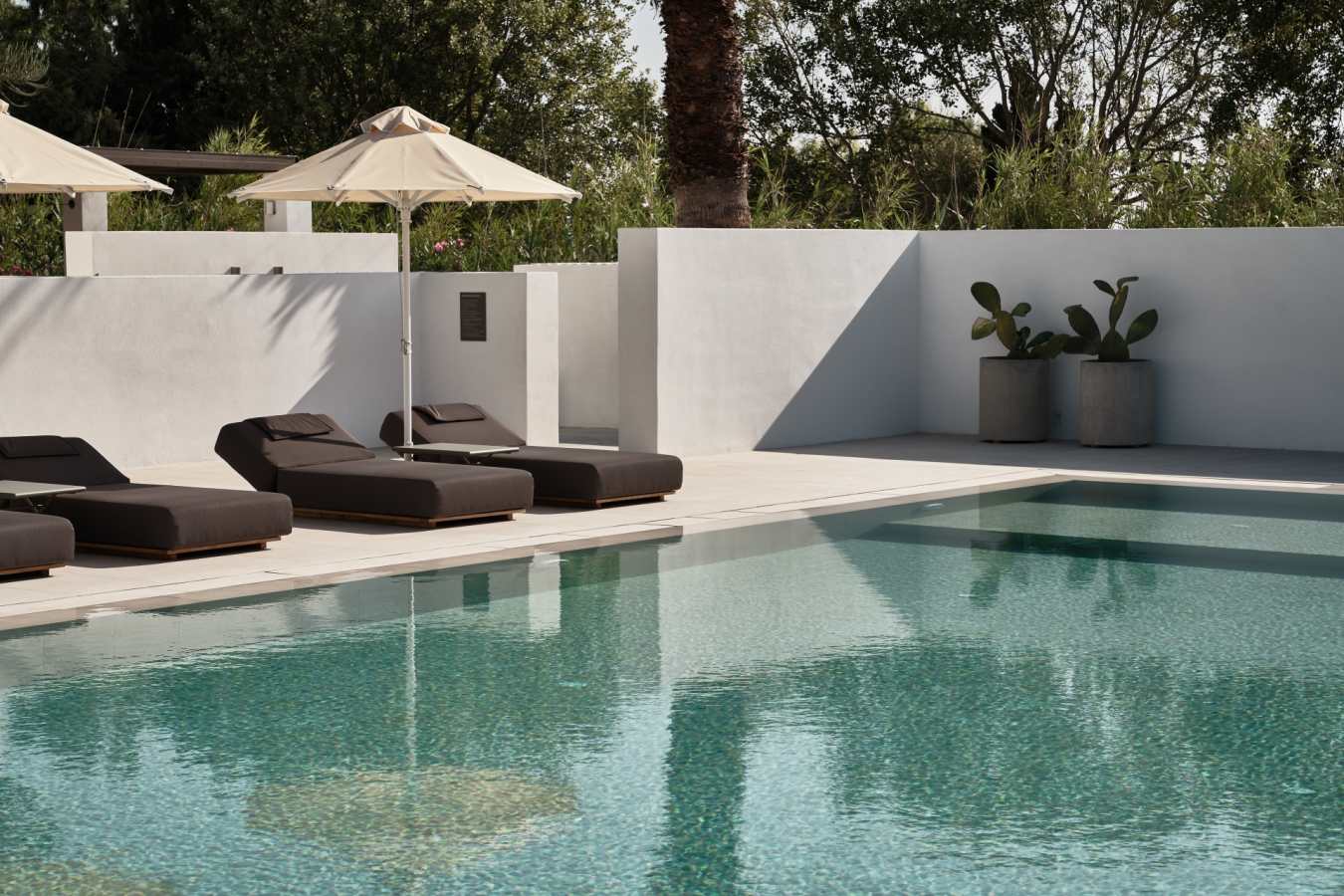 Sun Loungers
