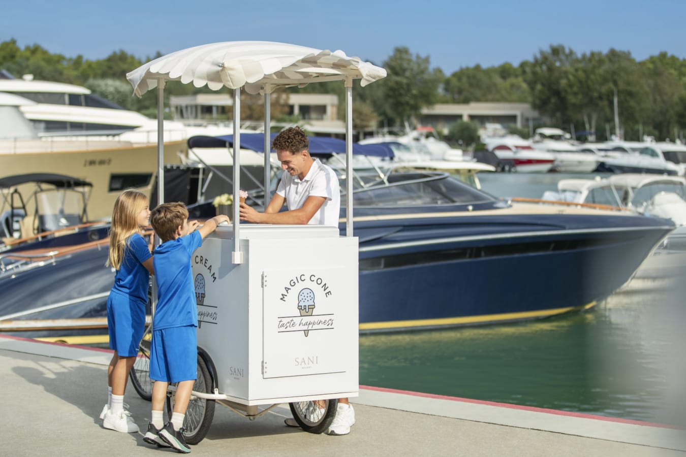 sani marina ice cream truck