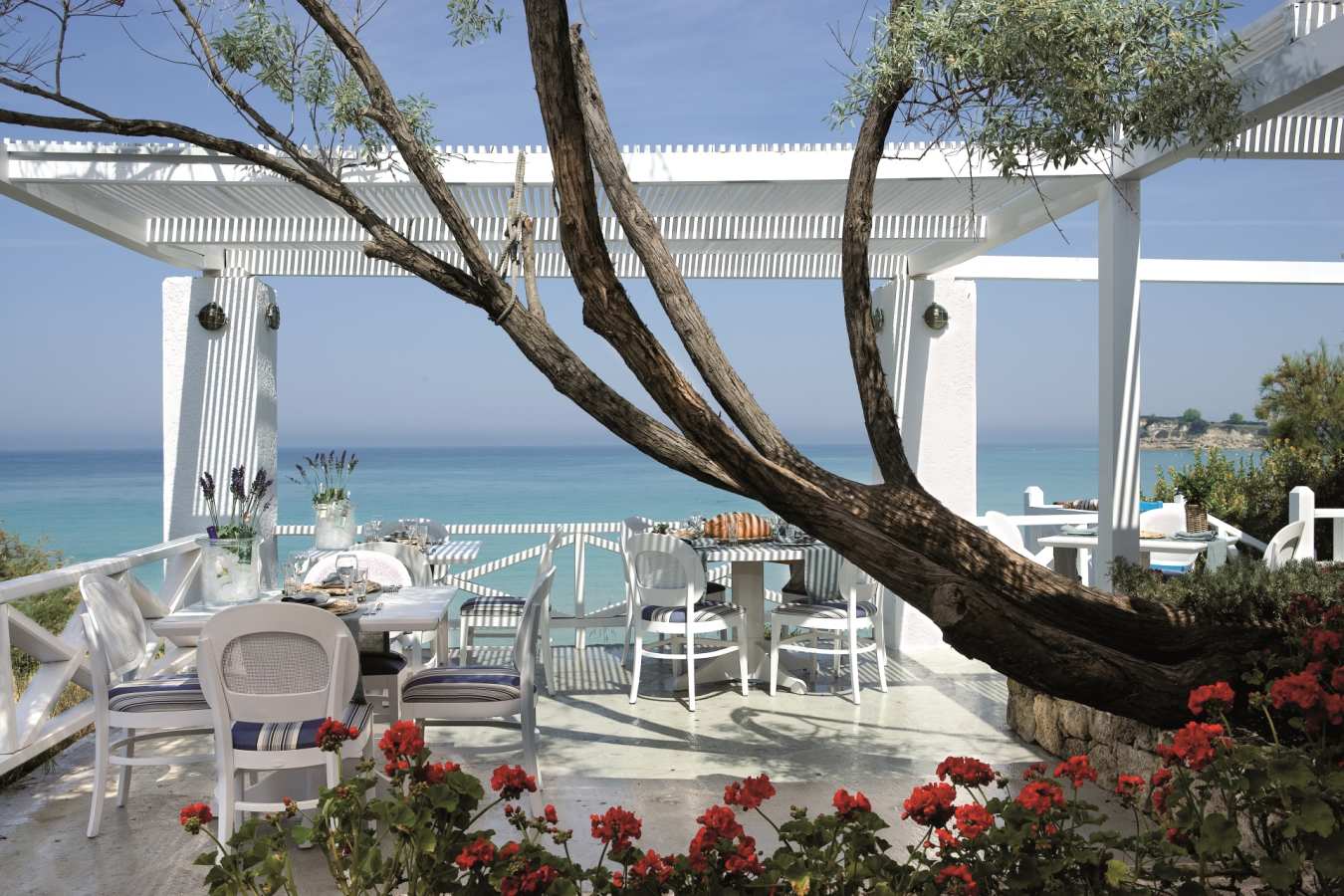 Ouzerie Restaurant - Sani Club