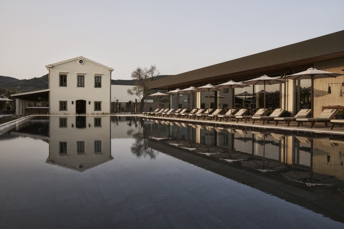 Olivar Pool