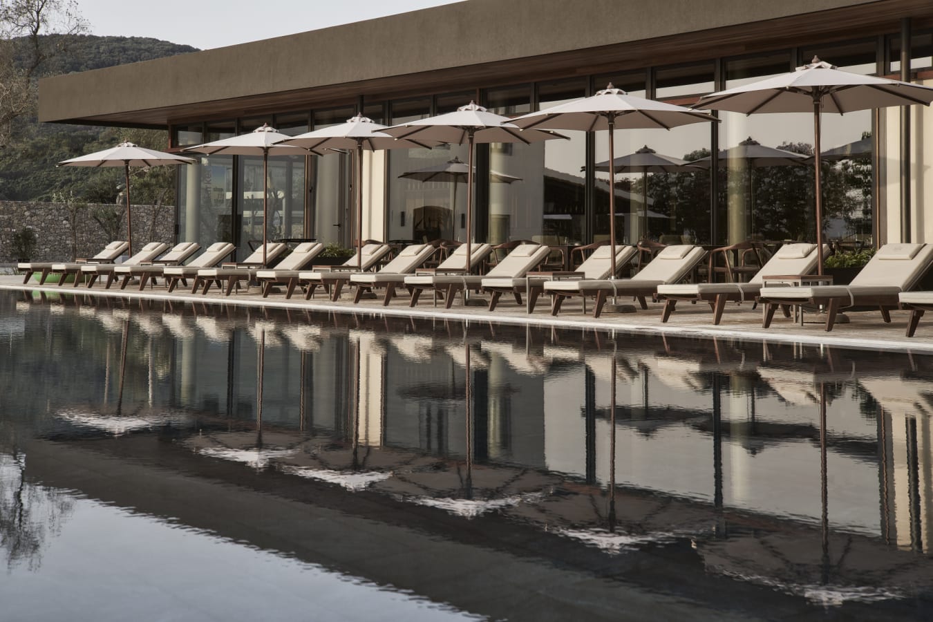 Olivar Pool