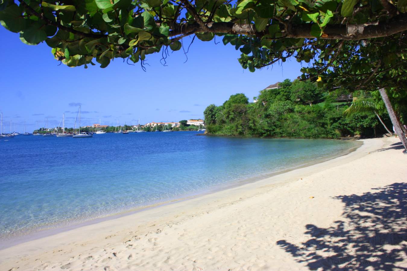 Beach - Calabash, Grenada