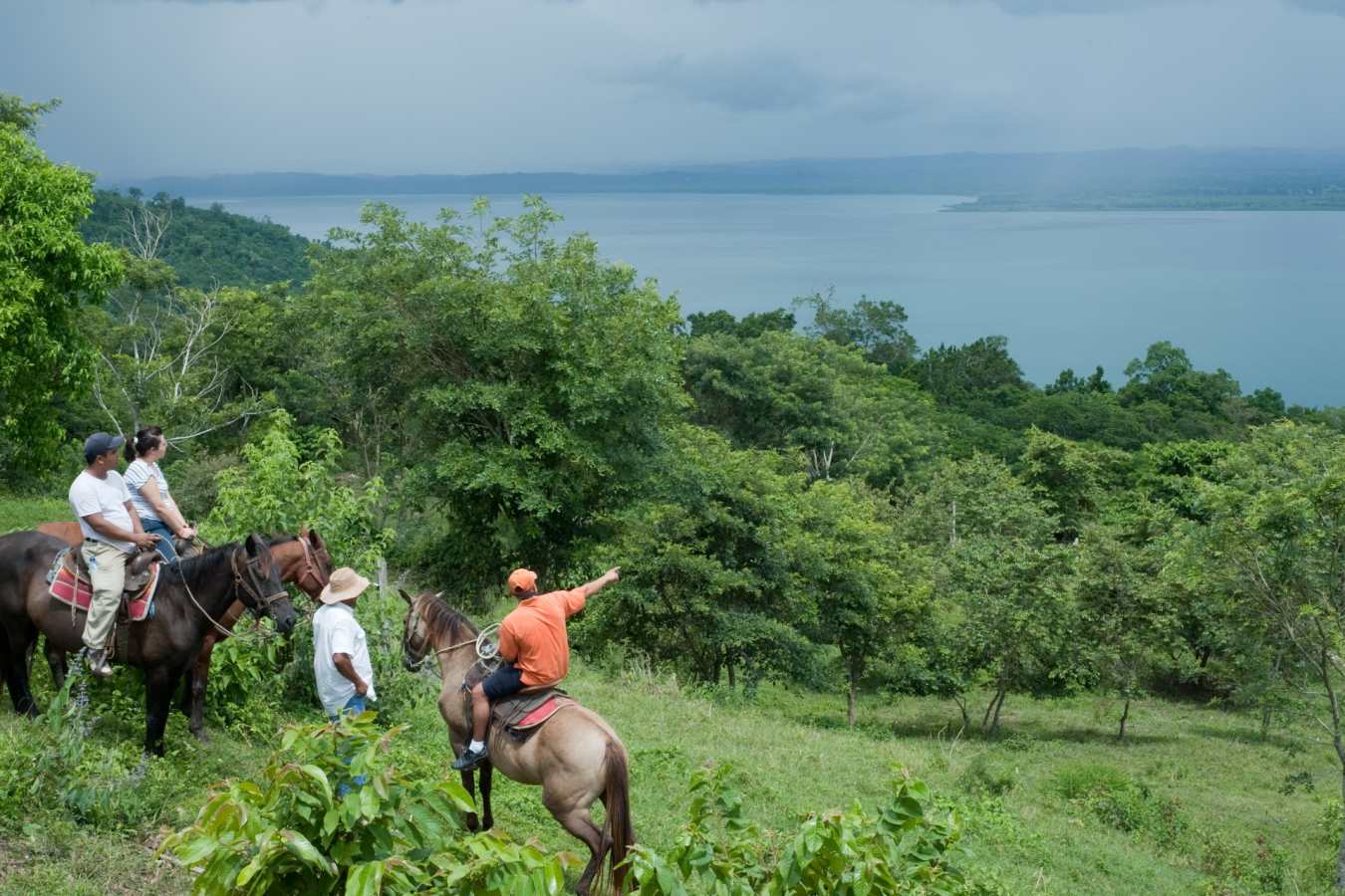 Horseriding - La Lancha