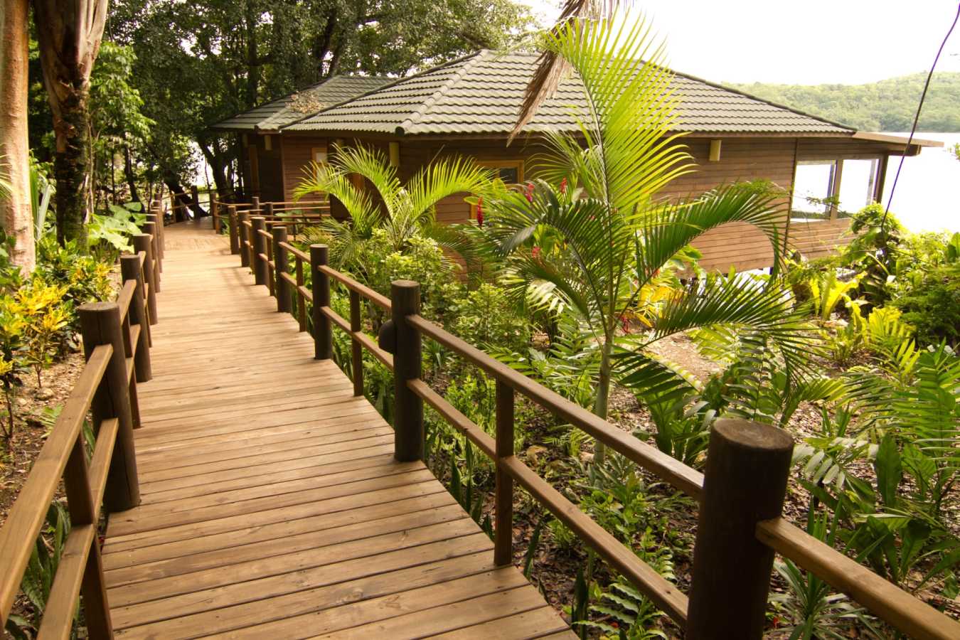 Jungle walkways - Las Lagunas