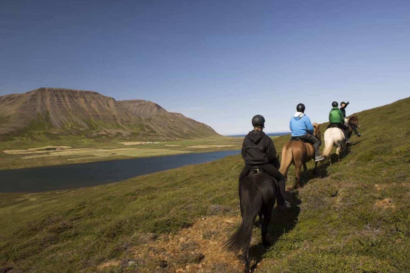 Horse Riding  