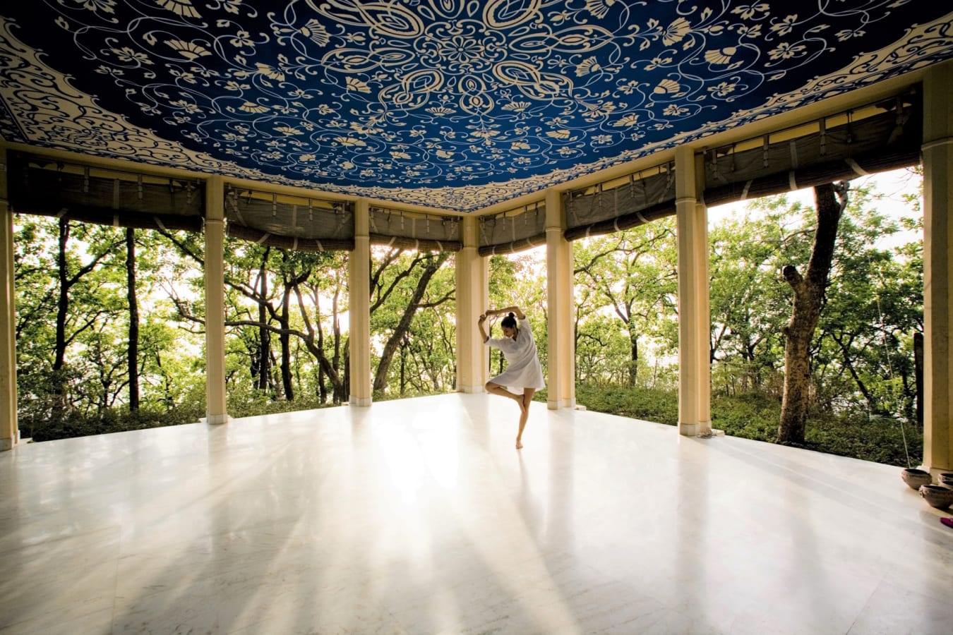 Yoga Space - Ananda in the Himalayas