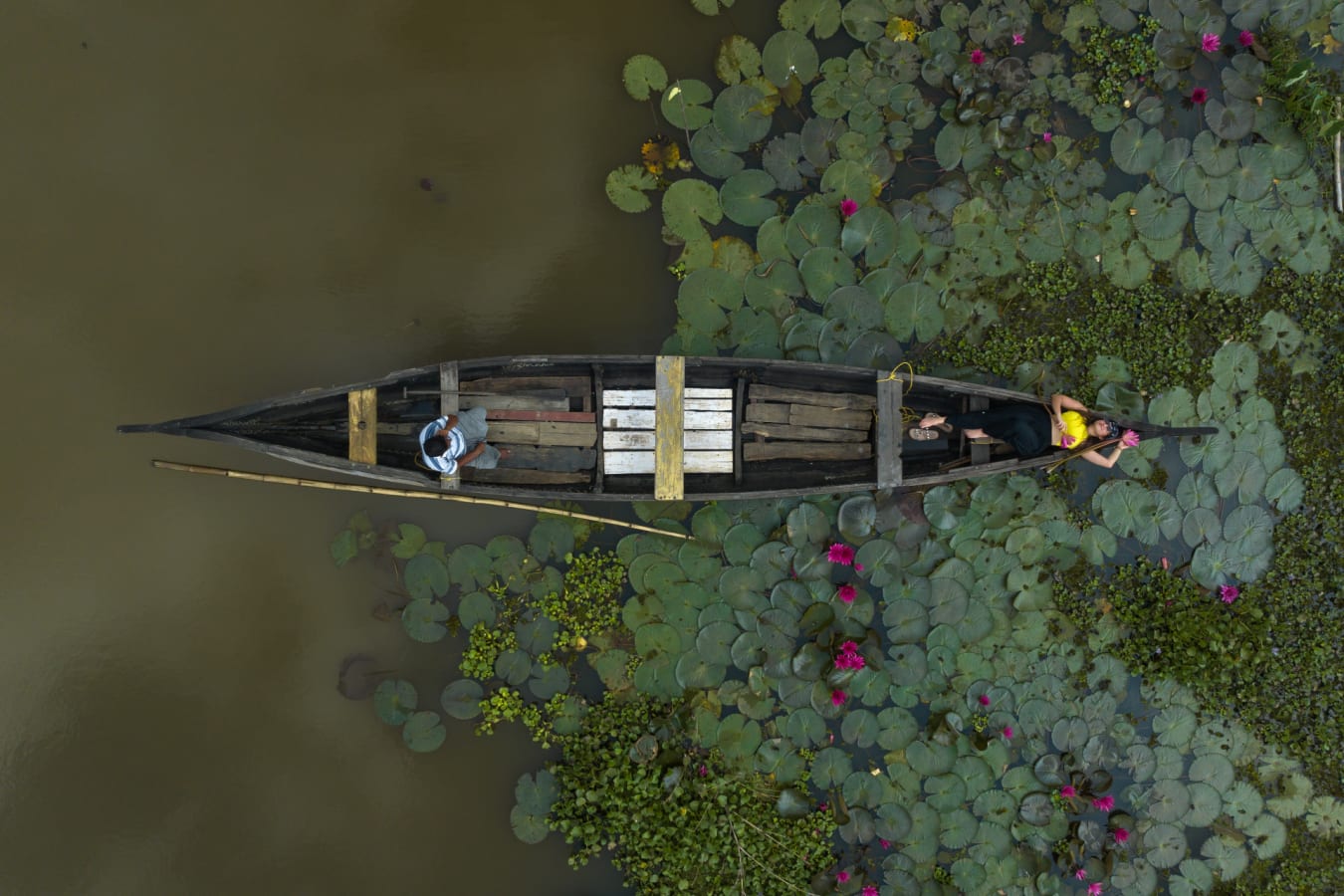 Boat experince - Coconut Lagoon