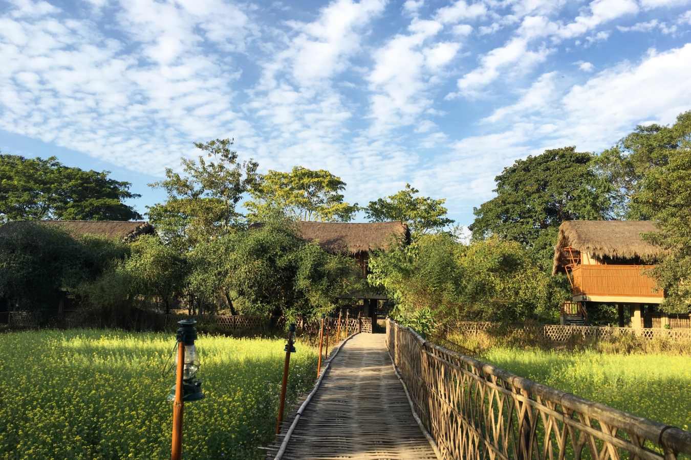 Bamboo Walkway  - Diphlu River Lodge