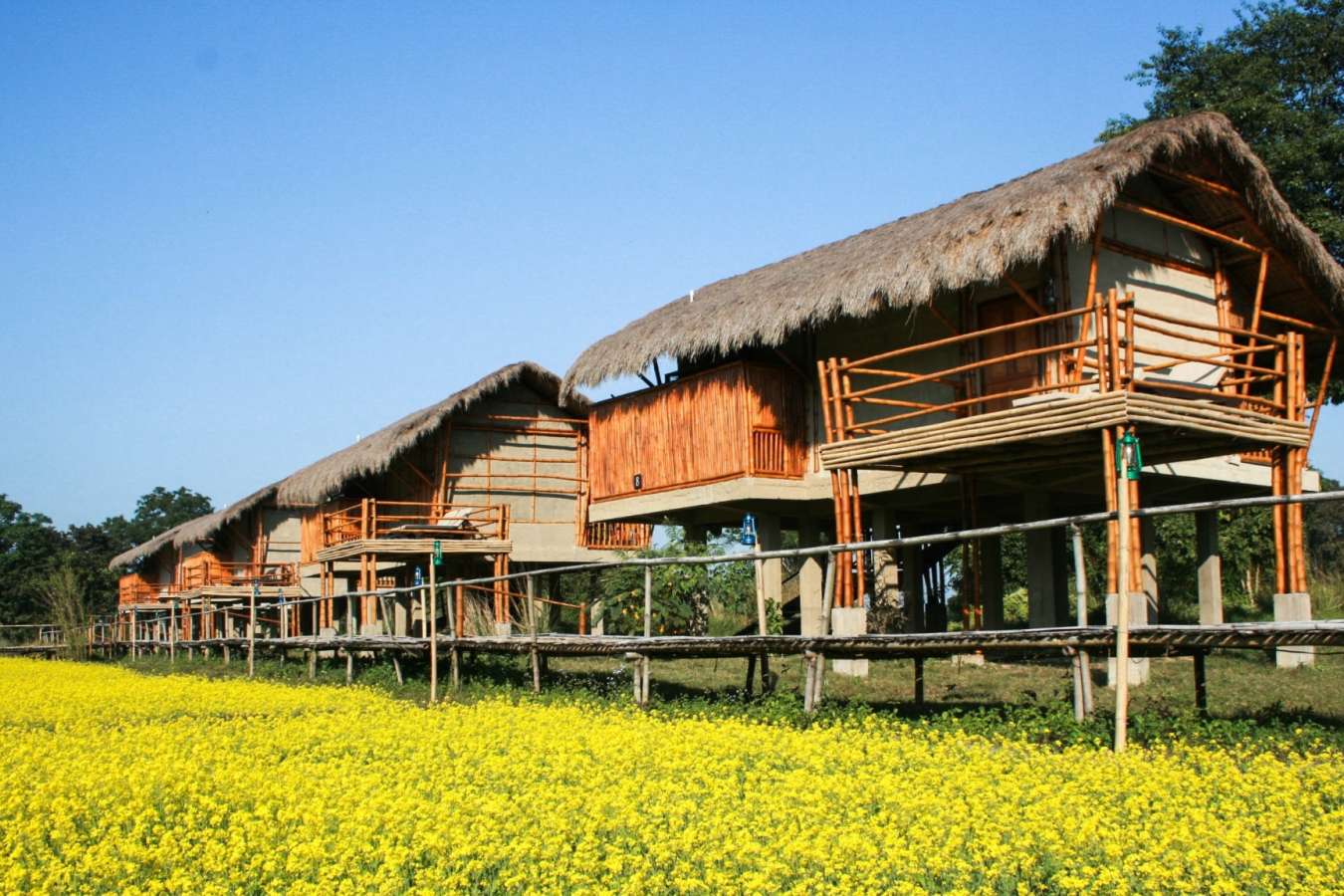 Cottages on stilts - Diphlu River Lodge