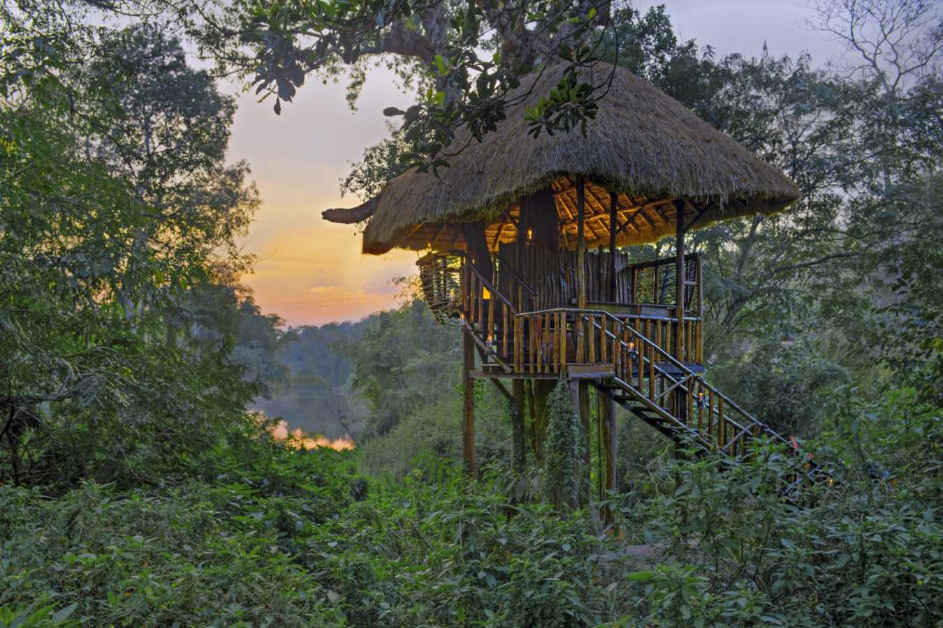 Treehouse - Evolve Back Chikkana Halli Estate