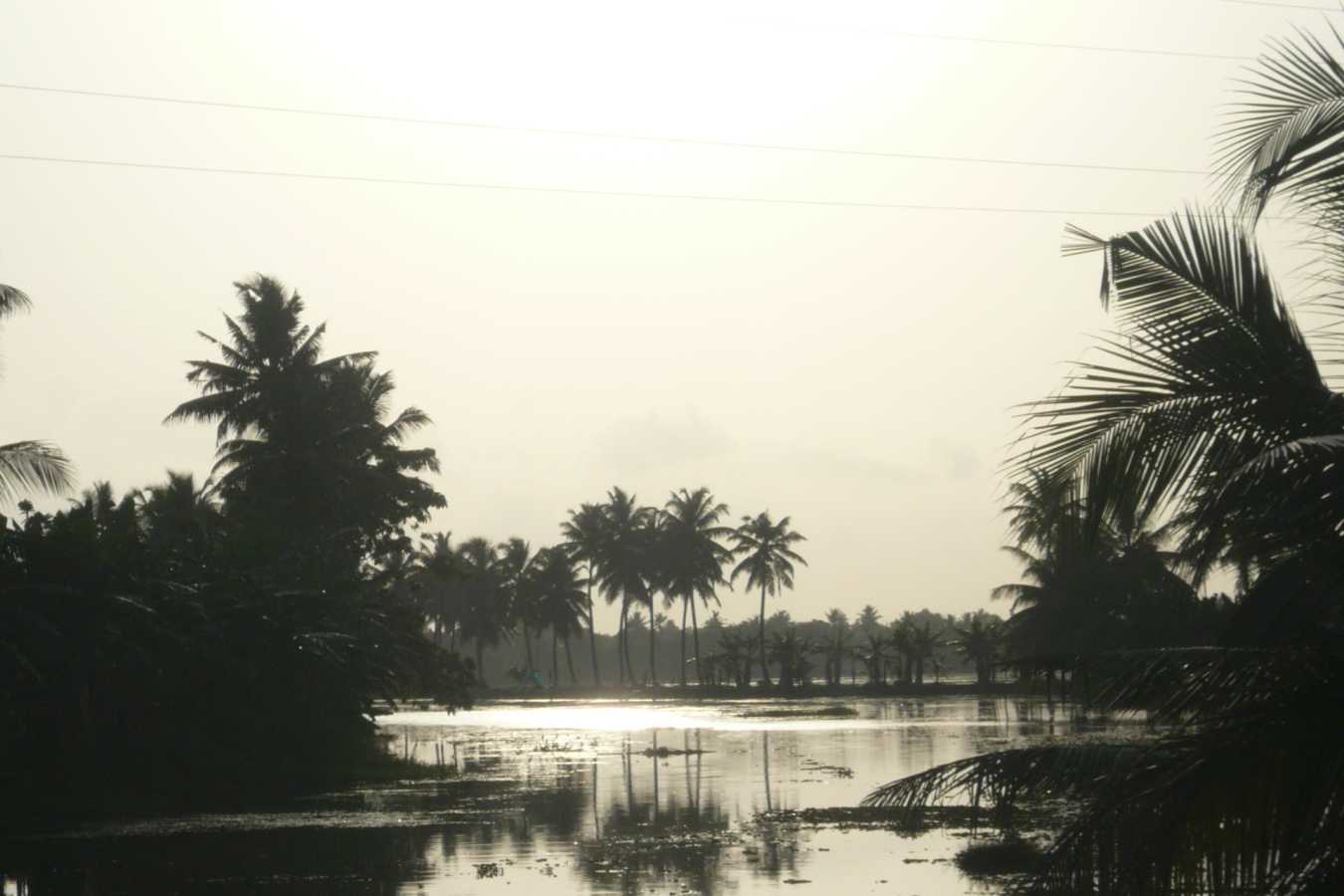 Backwaters - Houseboat