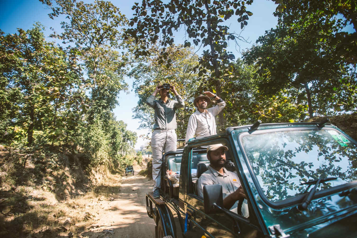 Expert Guiding - Jamtara Wilderness Camp