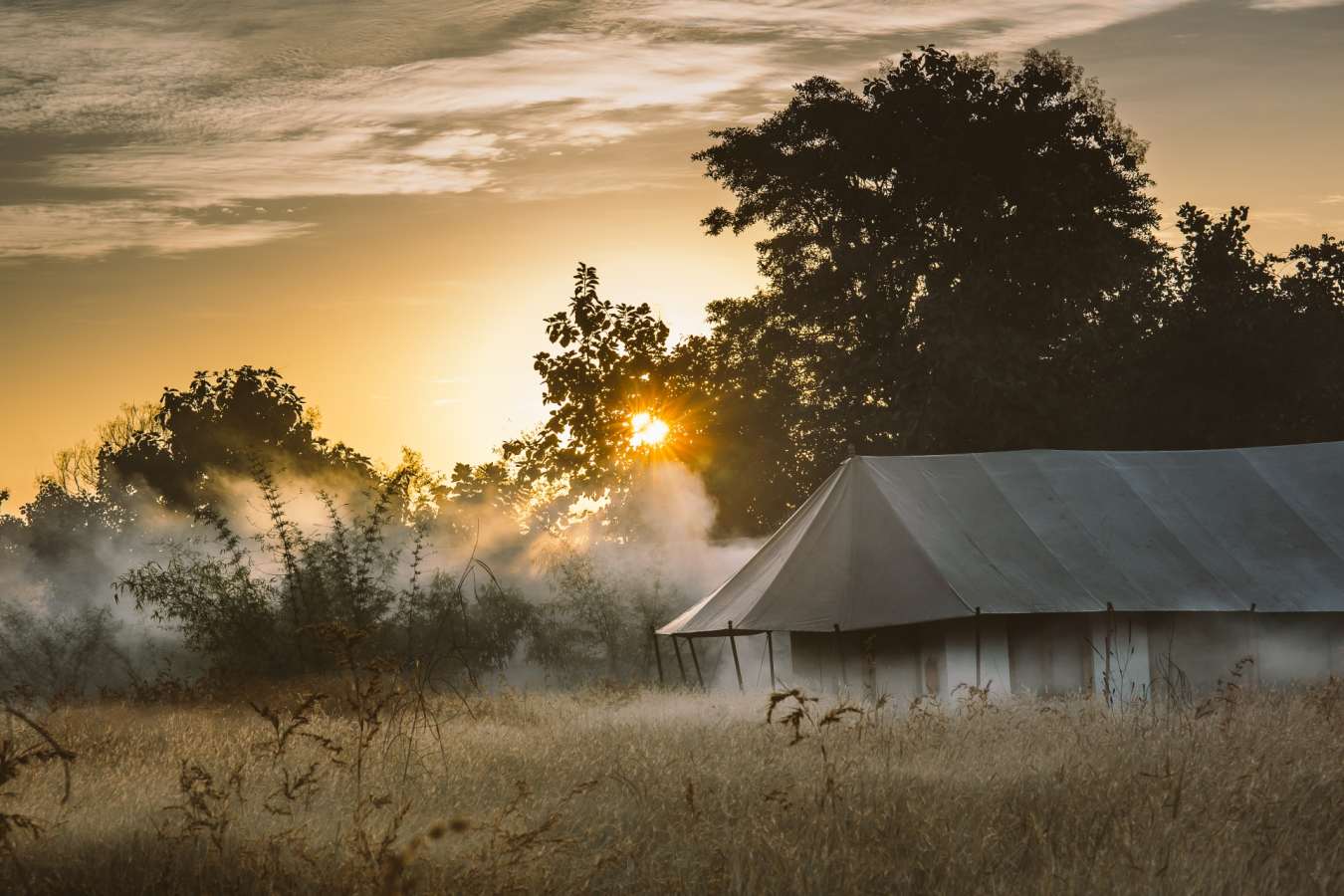 Misty Mornings - Jamtara Wilderness Camp