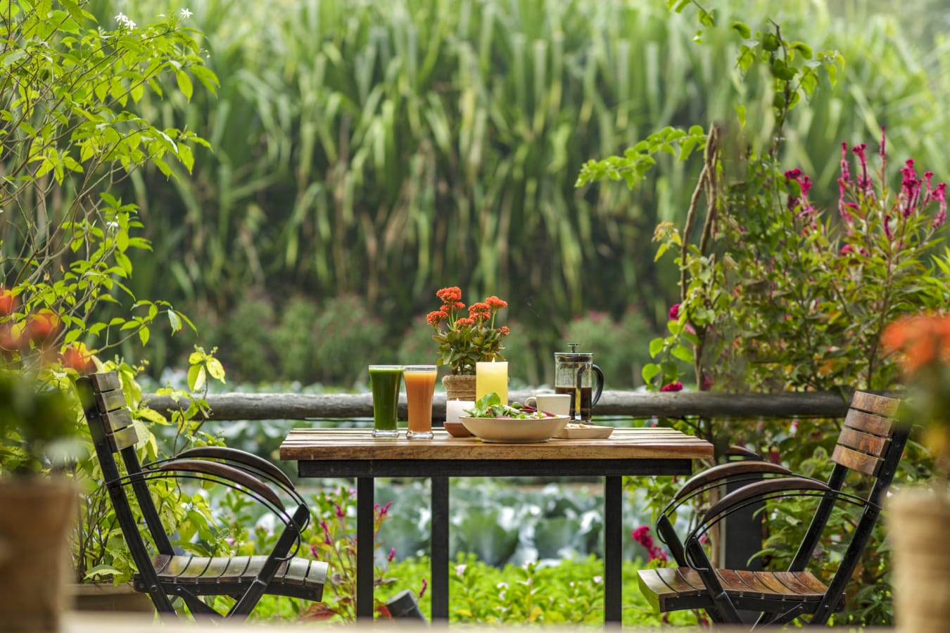 Dining - Jehan Numa Retreat 