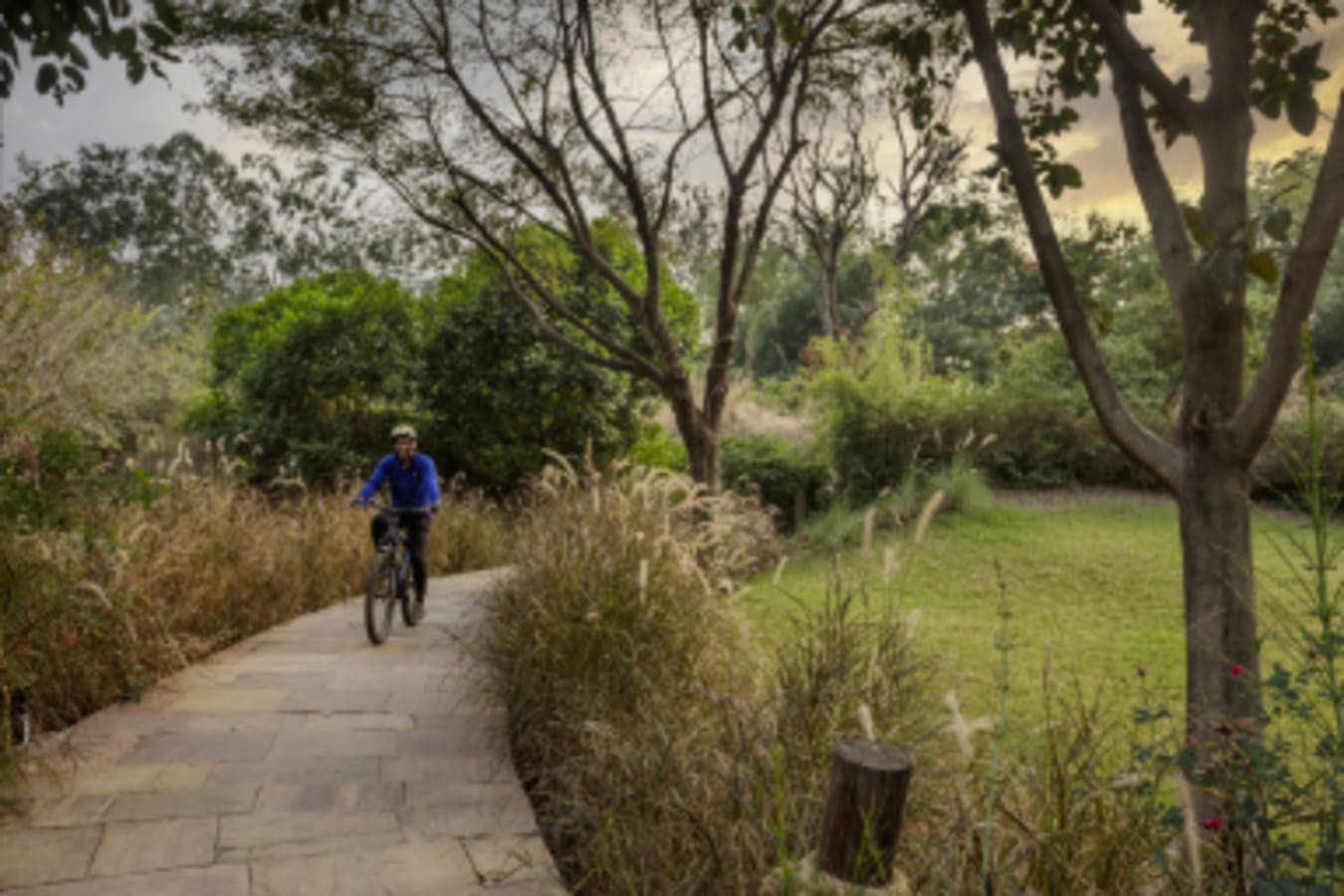 Bike Ride - Jehan Numa Retreat  