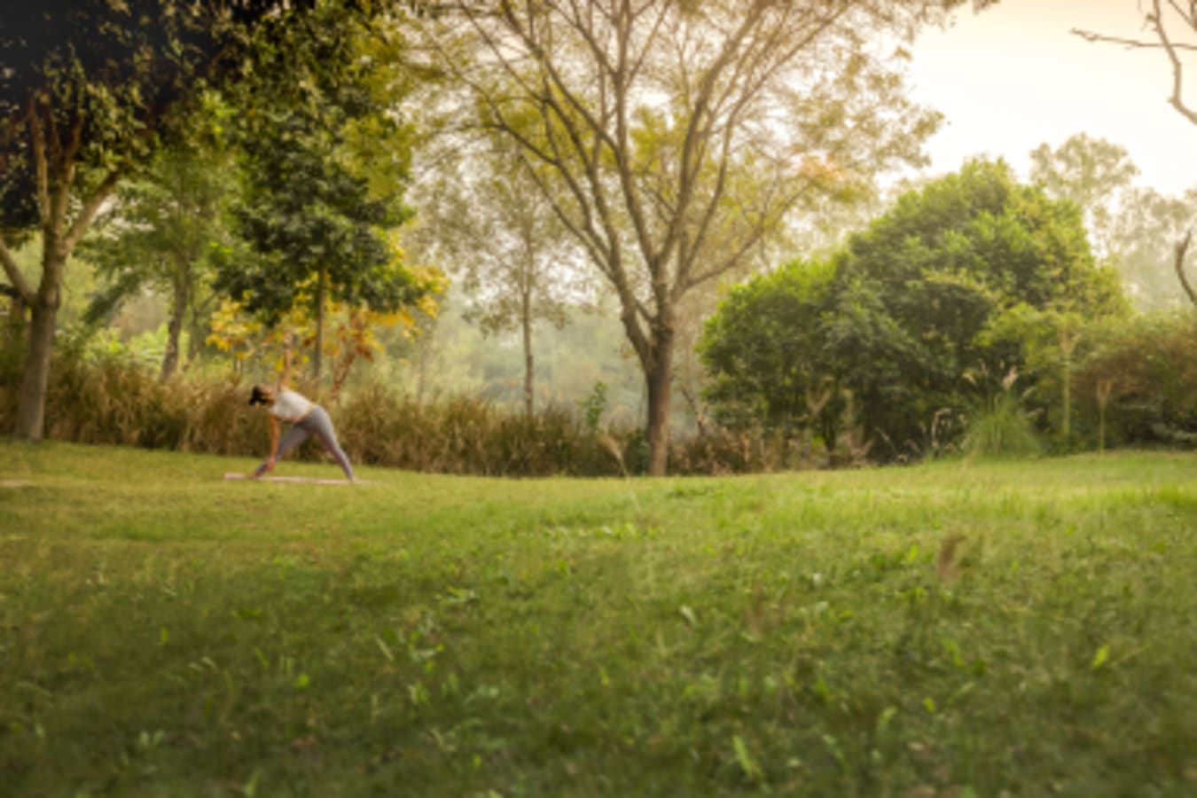 Yoga - Jehan Numa Retreat 