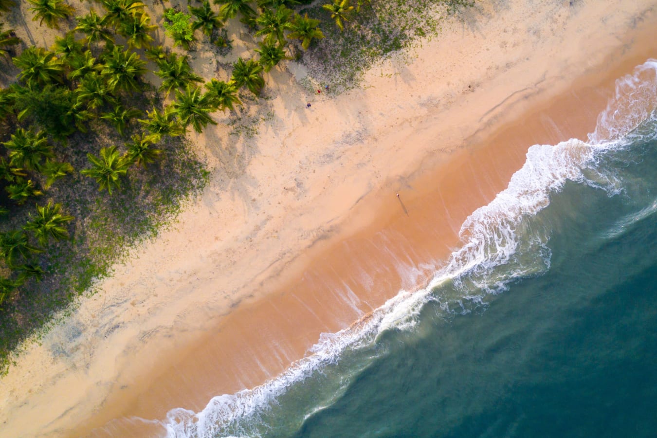 Aerial Shot - Marari Beach