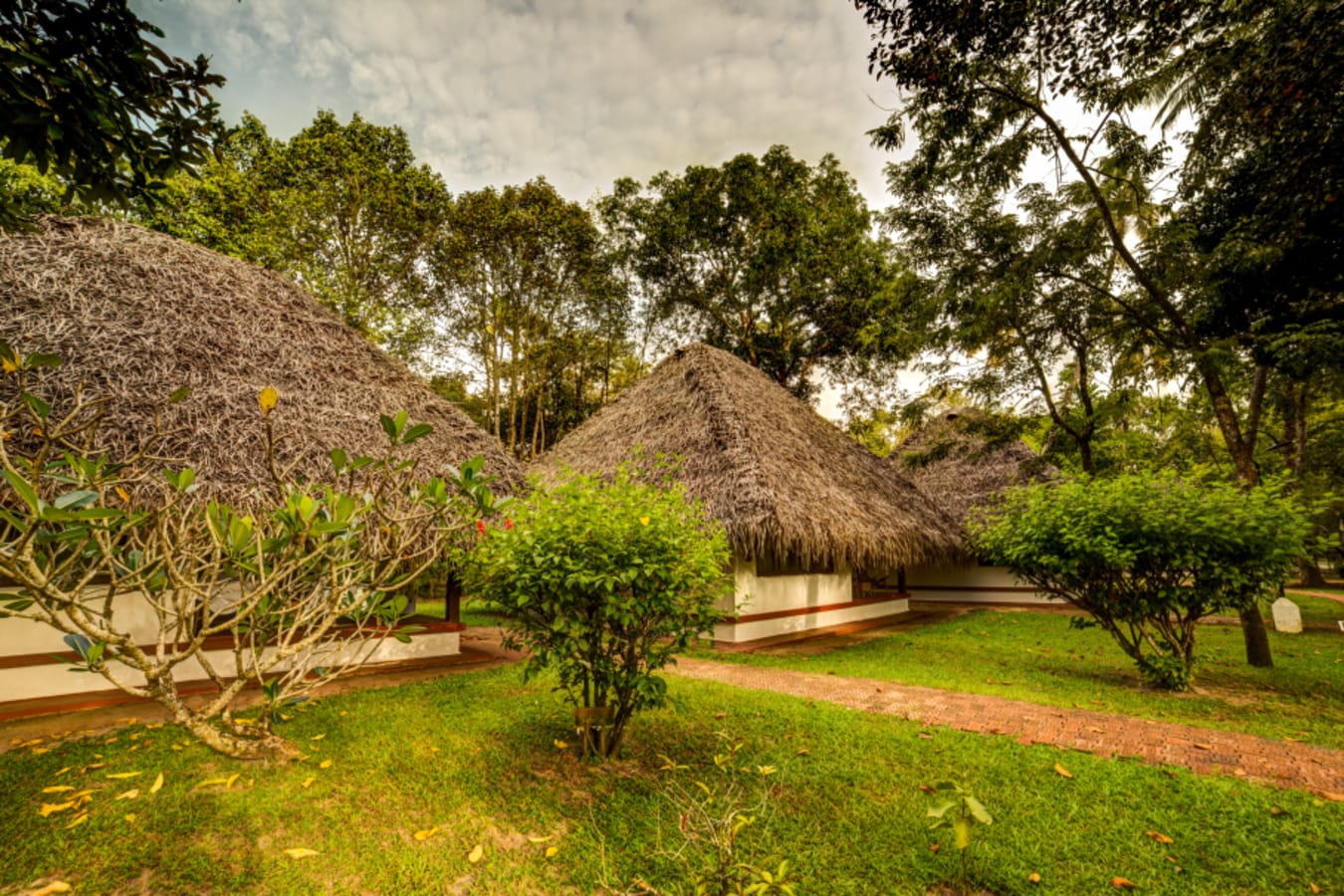 Rooms - Marari Beach 