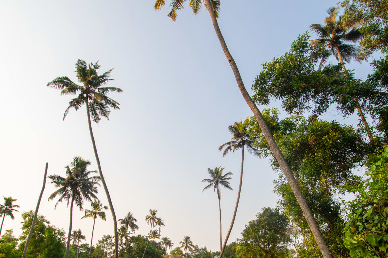 Cycling - Marari Beach