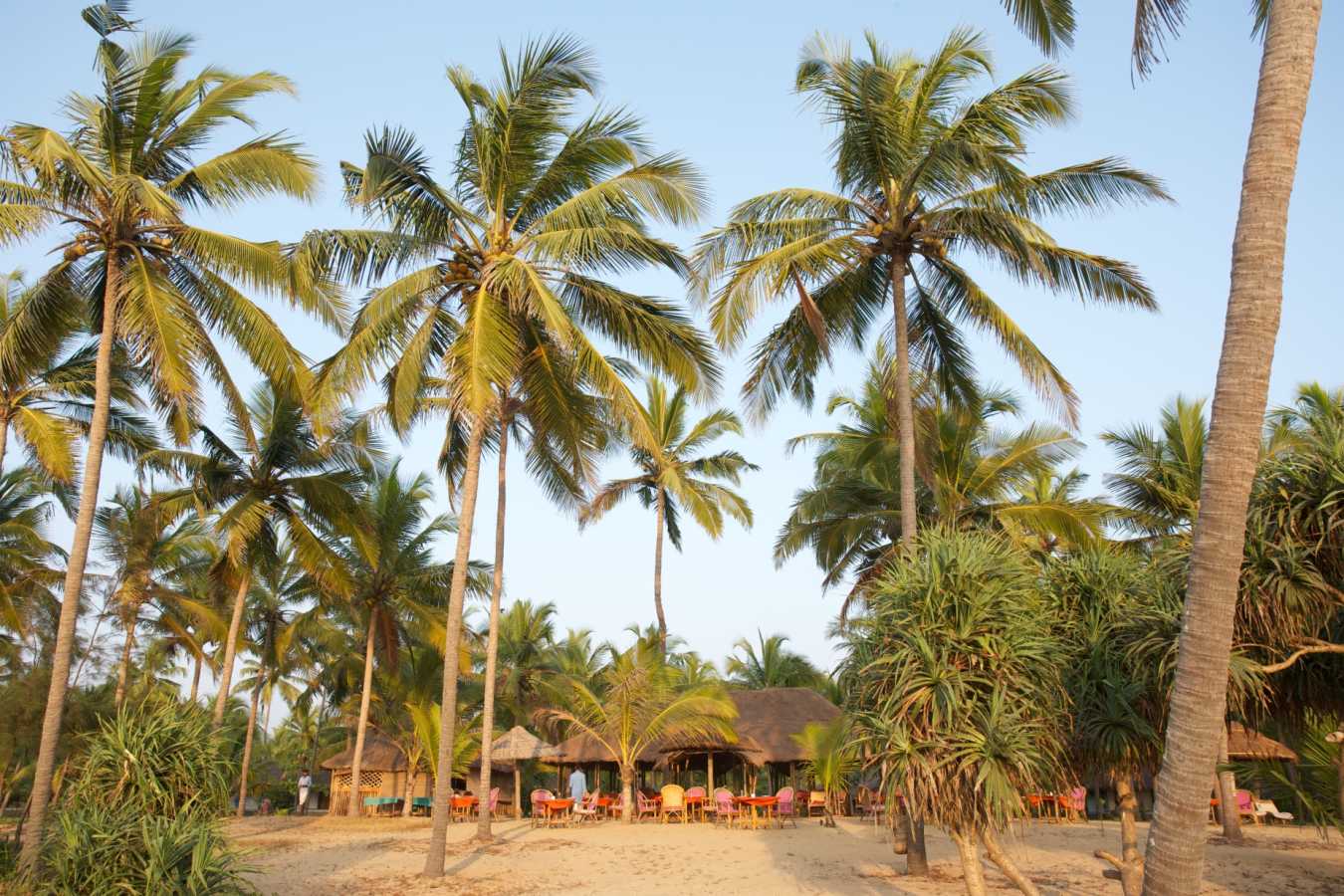 Grounds - Neeleshwar Hermitage