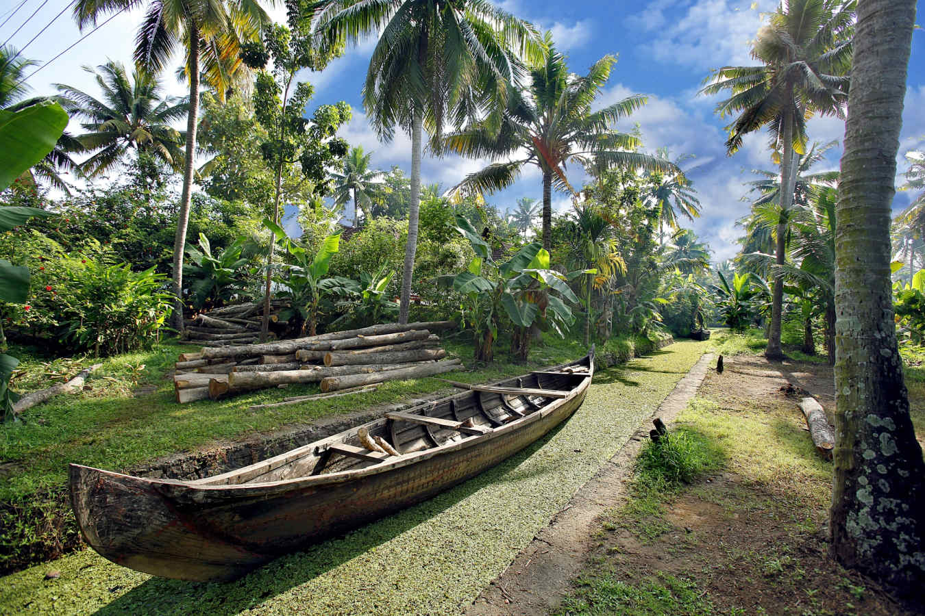 Nature - Philip Kutty's Farm