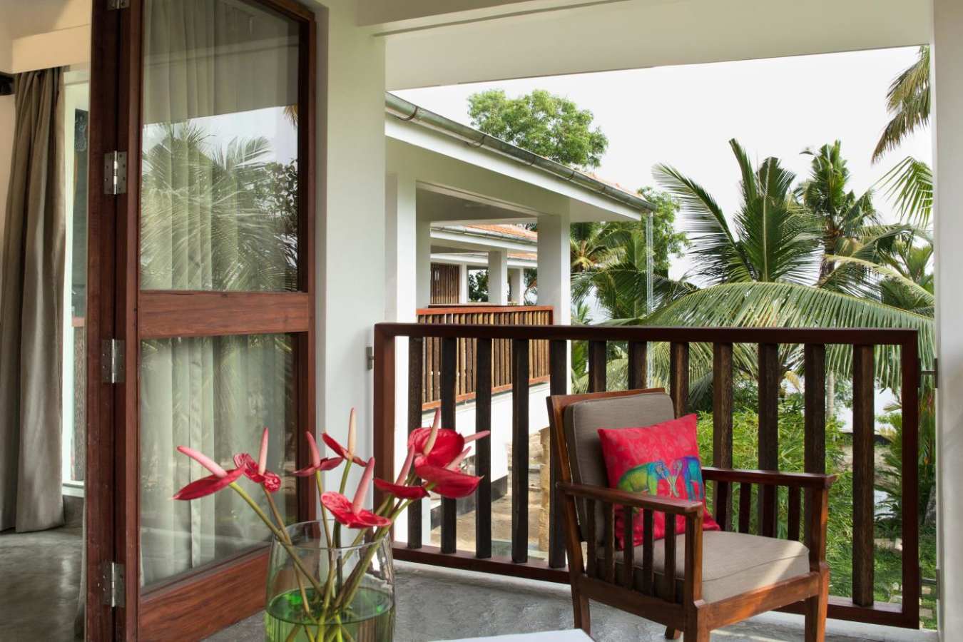 View from room - Purity