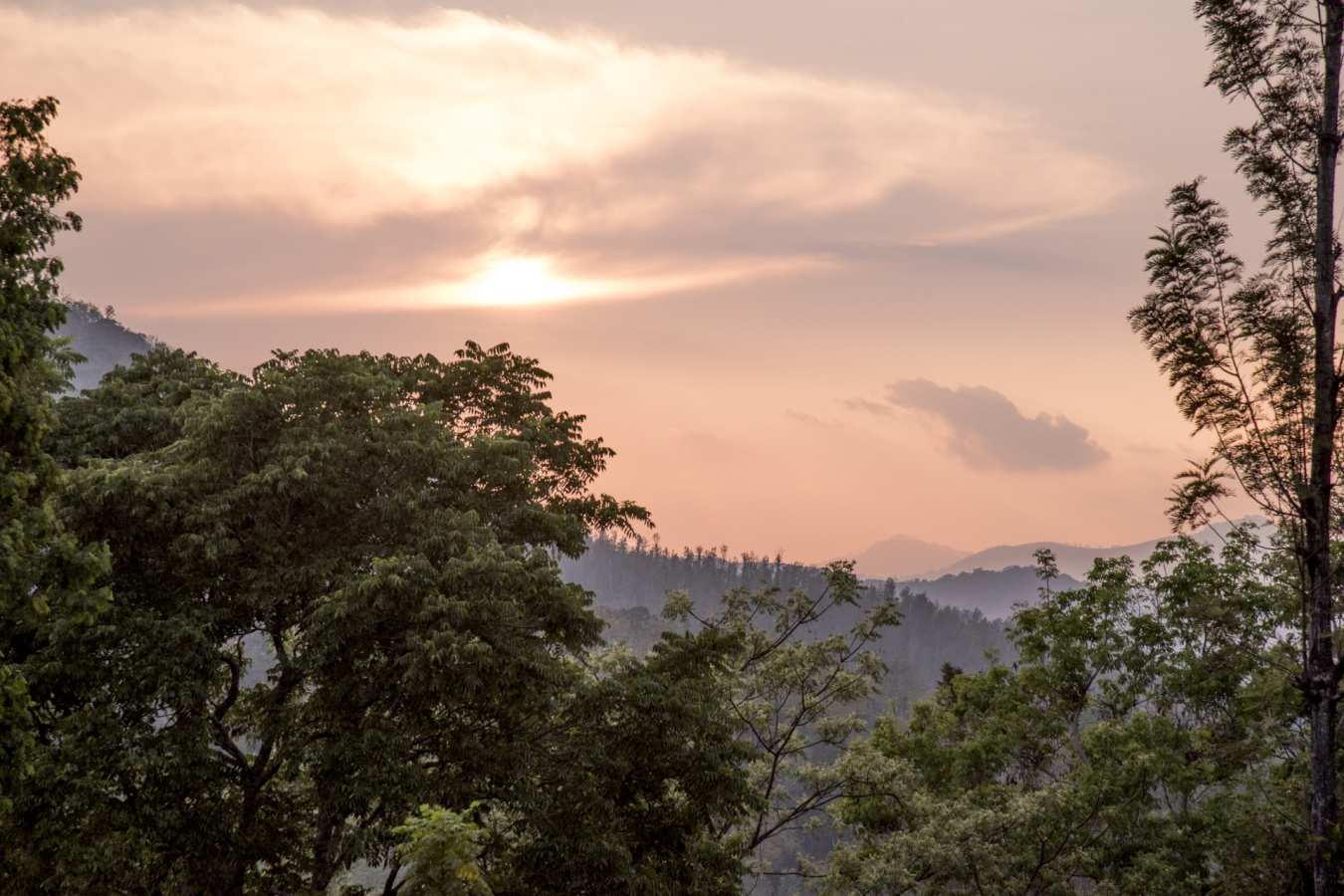 Sunset - Rajakkad Estate