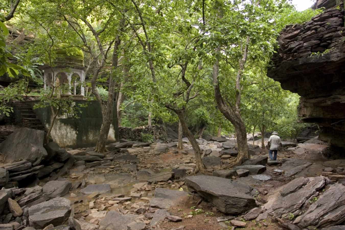 Cave Temple - Ramathra Fort