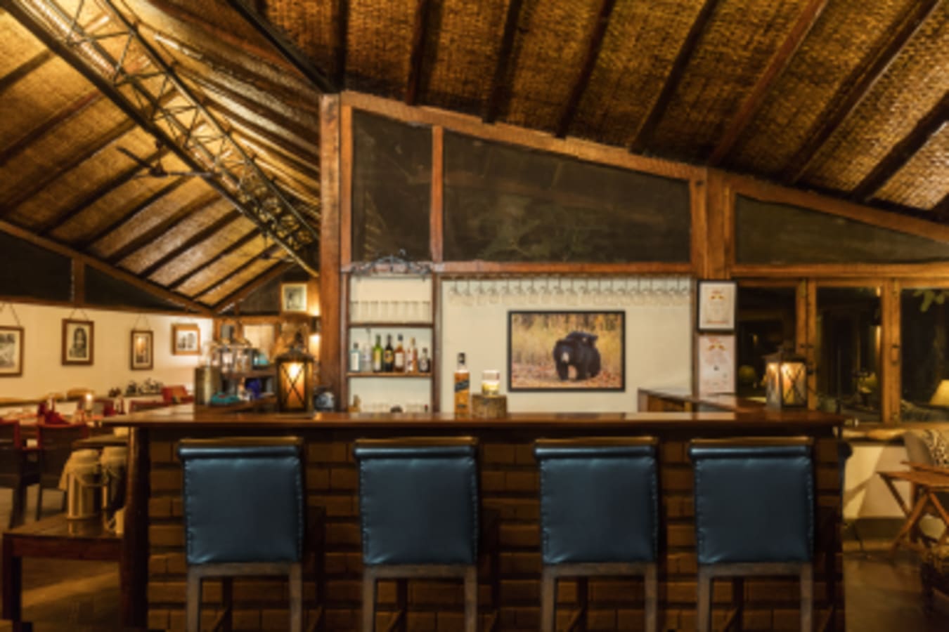 Bar - Reni Pani Jungle Lodge 