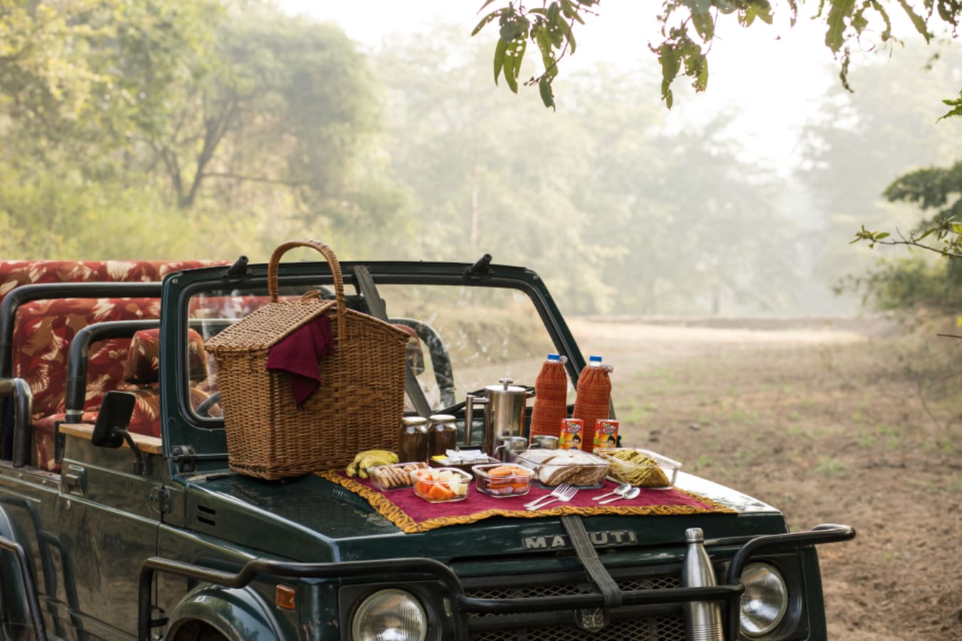 Safari Picnic - Reni Pani Jungle Lodge 