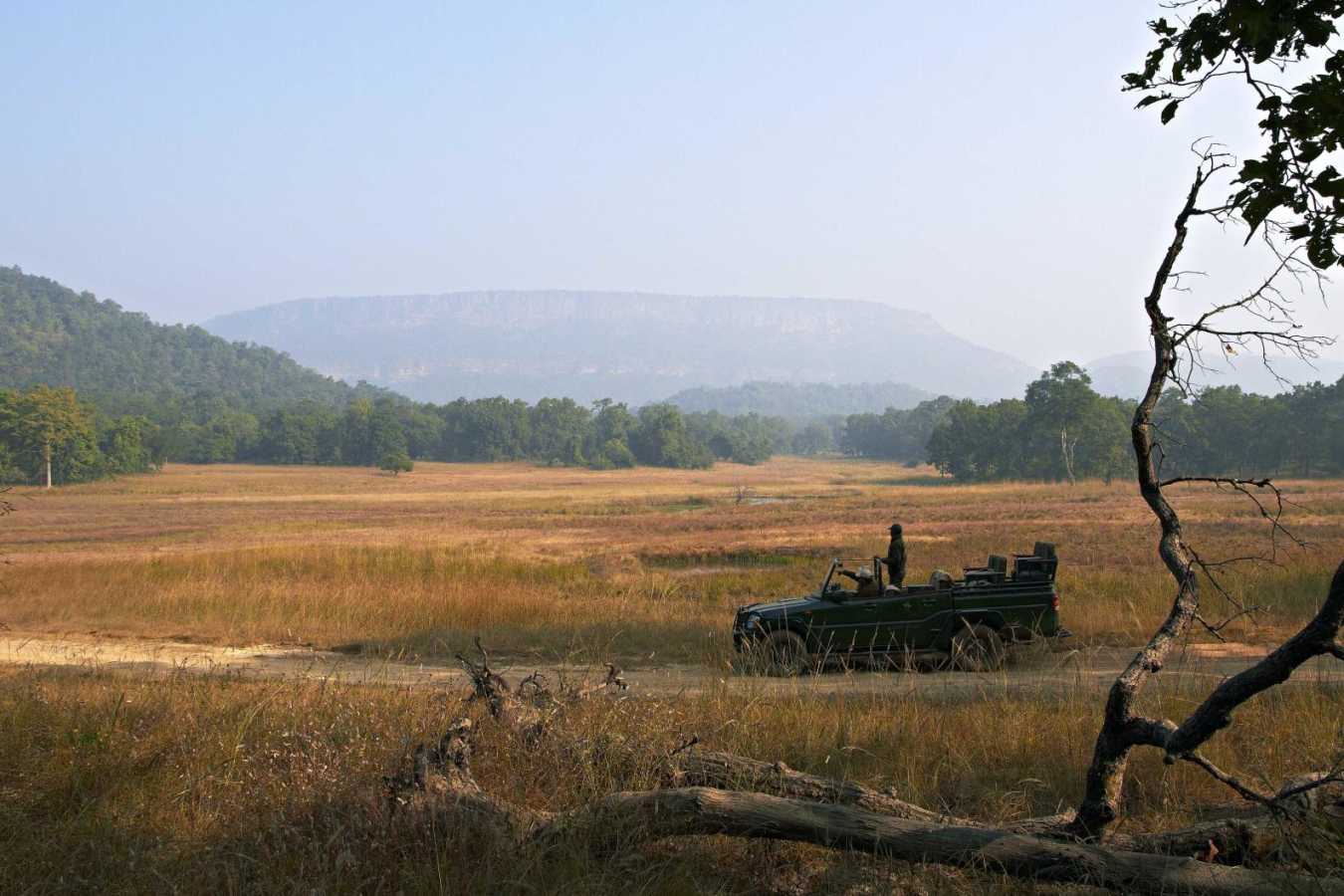 Game Drive - Samode Safari Lodge
