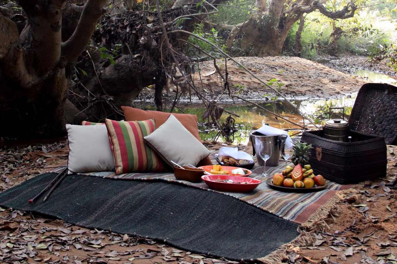 Picnic on safari - Samode Safari Lodge