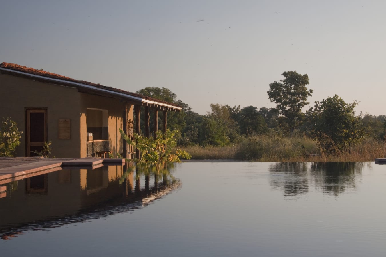 Pool - Samode Safari Lodge