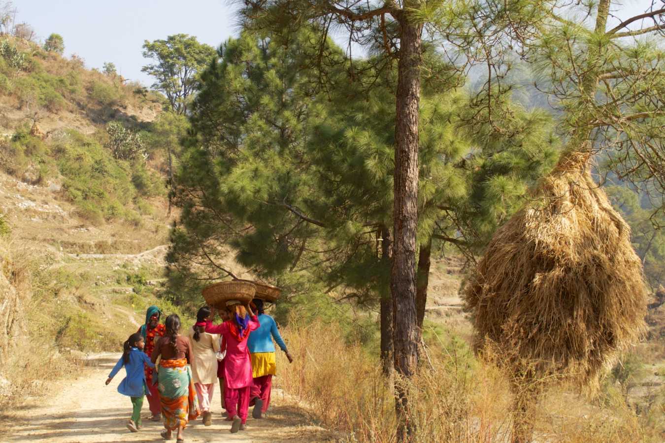 Local life in Kumaon - Shakti Kumaon Village Houses