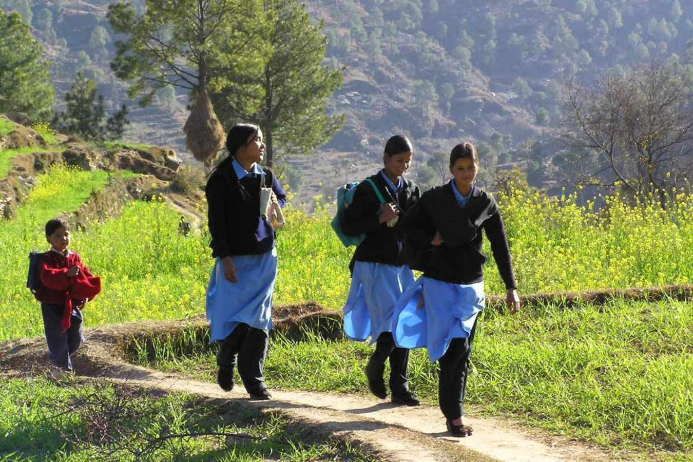 Local Life - Shakti Kumaon Village Houses