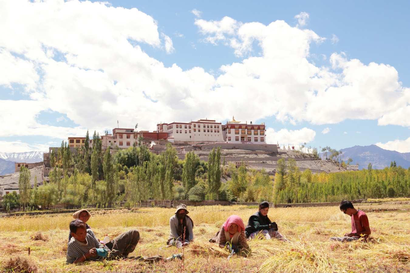Spring in Ladakh - Shakti Ladakh Village Houses
