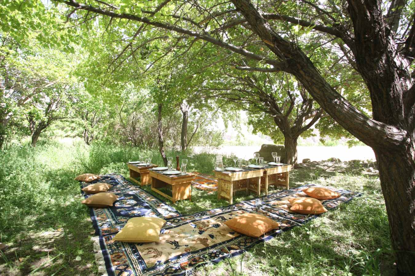 Picnic - Shakti Ladakh Village Houses