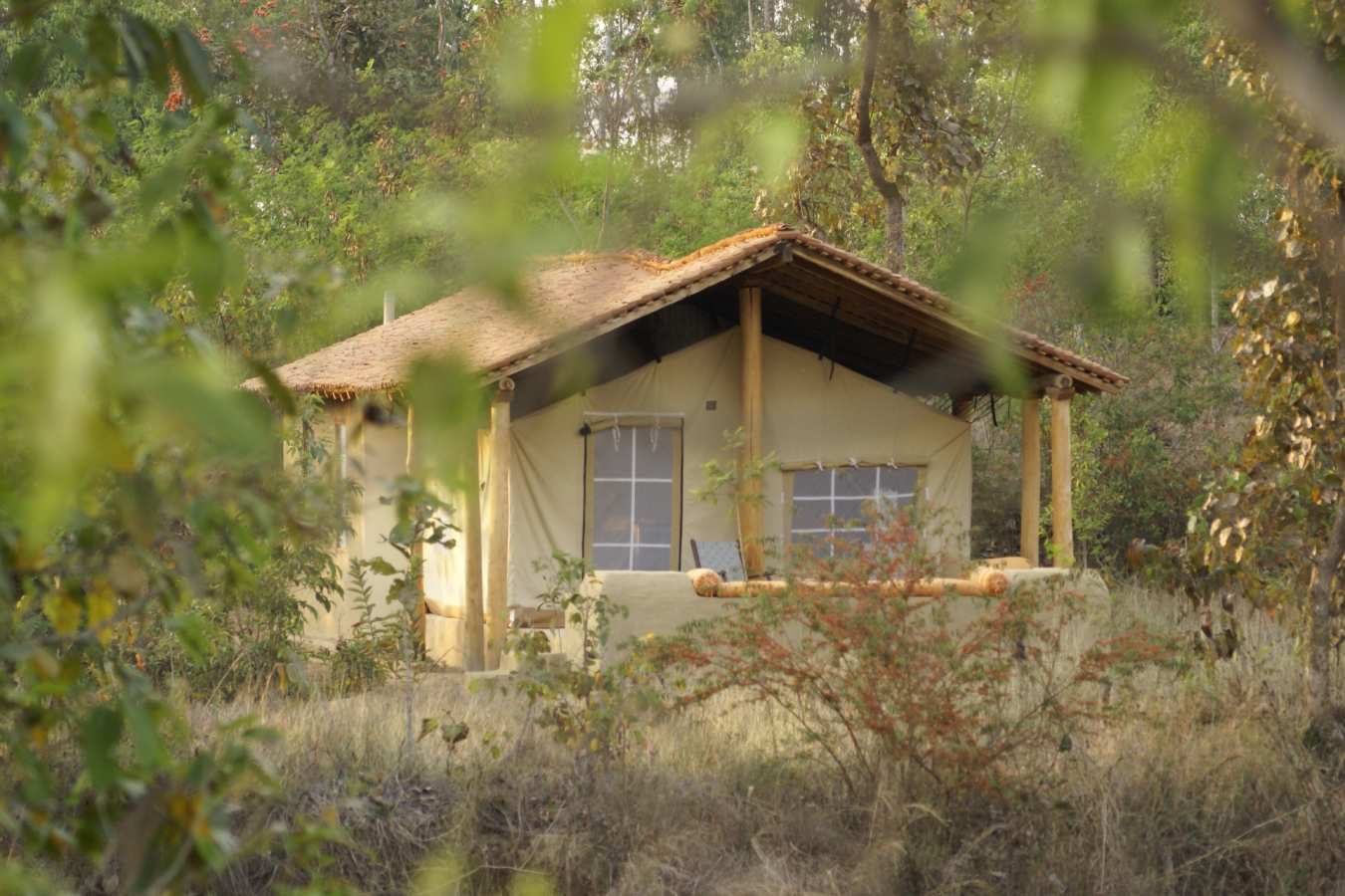 Tent - Shergarh Tented Camp