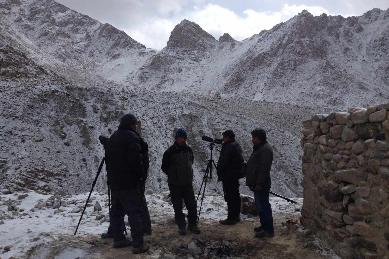 Snow Leopard Tracking - Snow Leopard Lodge