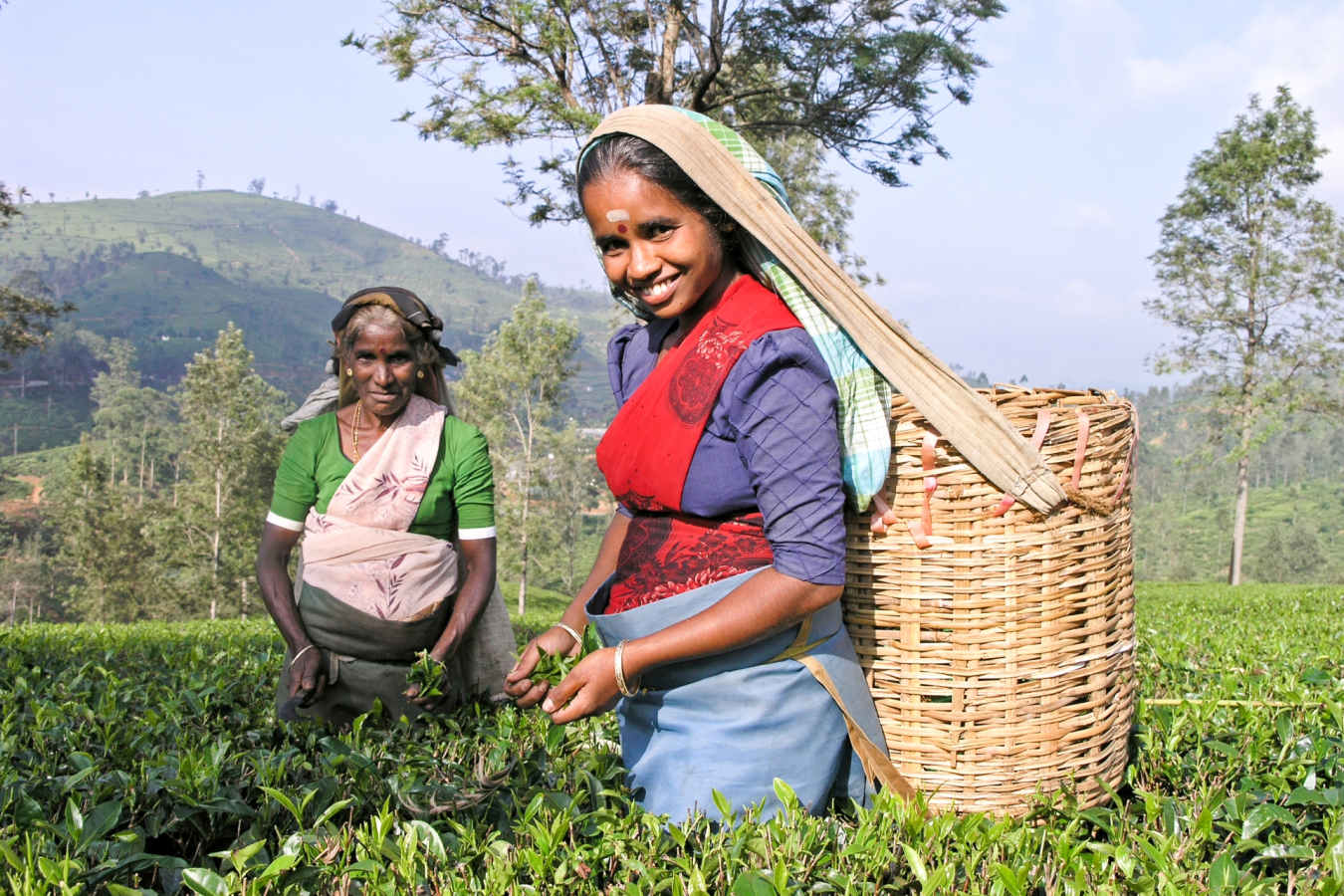 Thekkady - Spice Village