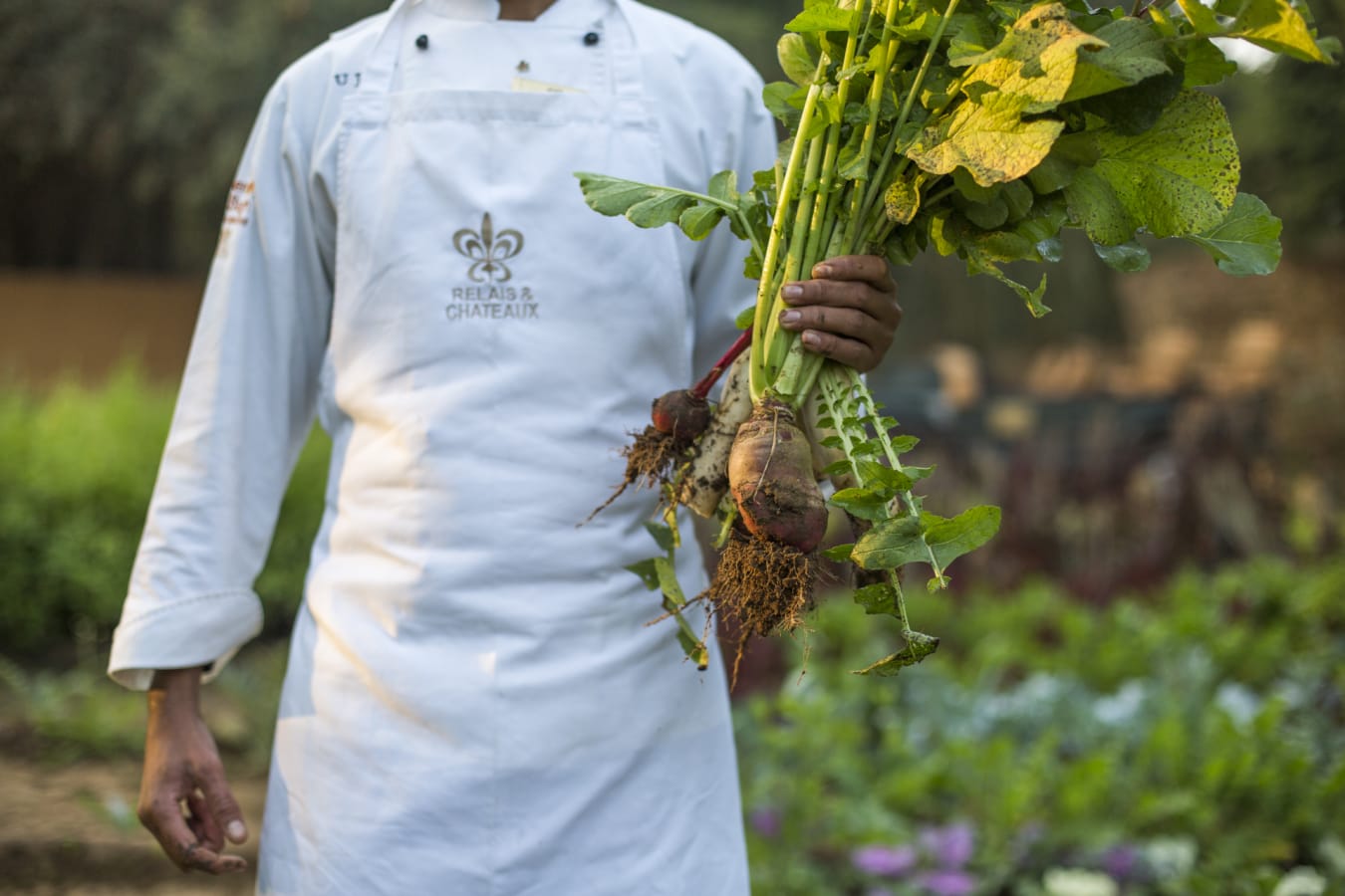 Chef