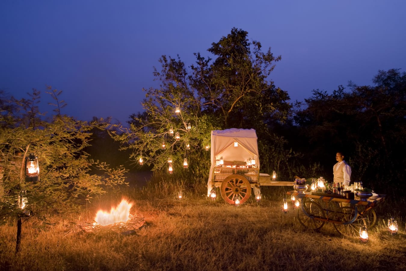 Bush Dinner - Taj Pashangarh