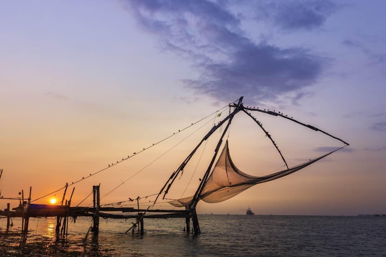 The Francis Residence