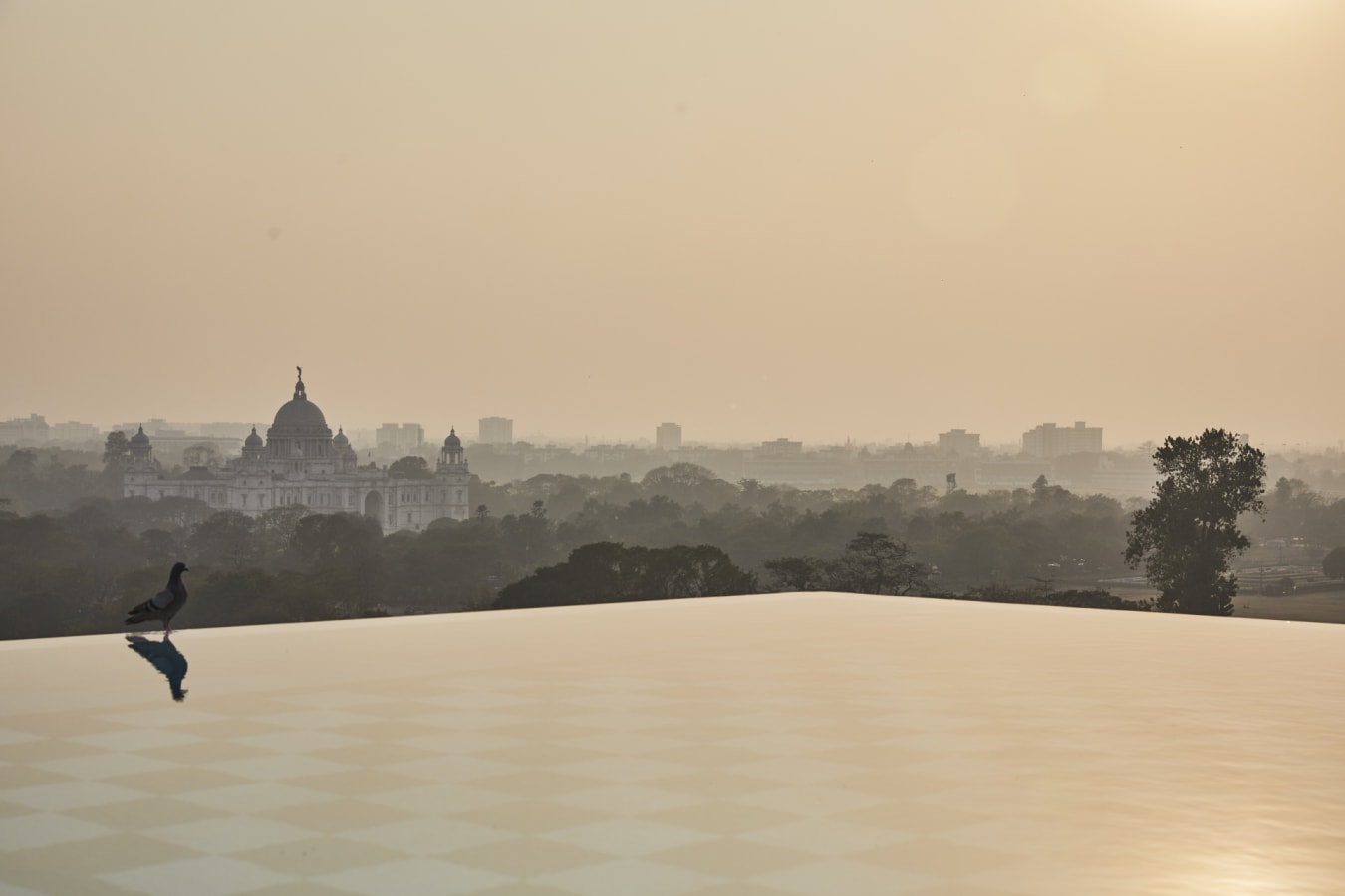 Infinity Pool - Glenburn Penthouse
