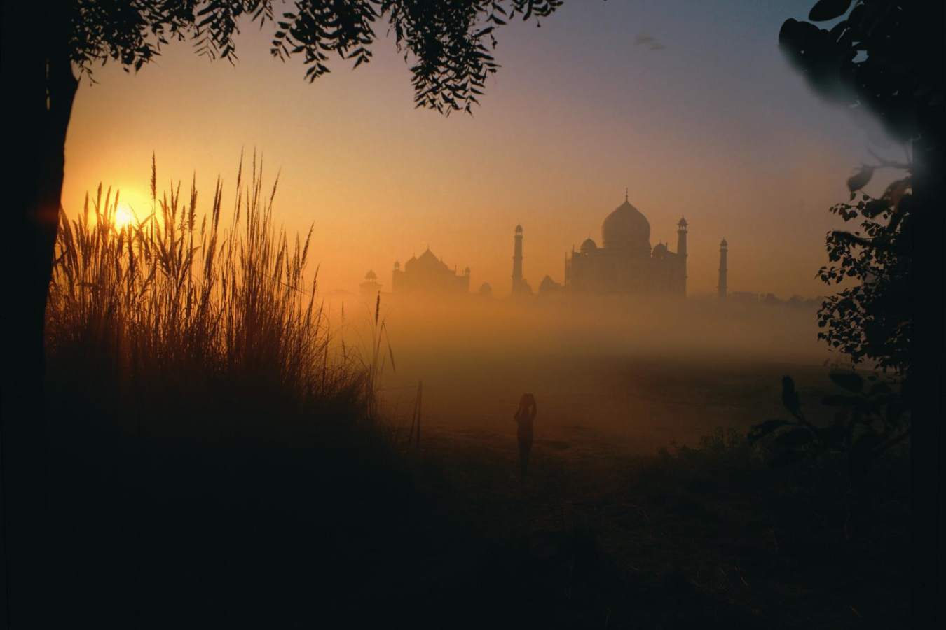 Taj View - The Oberoi Amarvilas