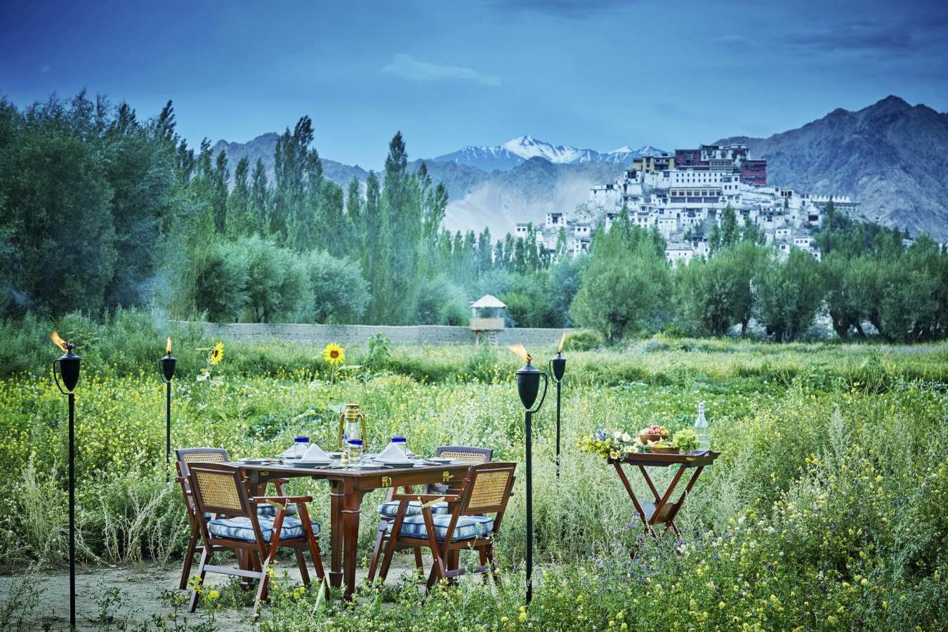 Vegetable Garden - Chamba Camp, Thiksey