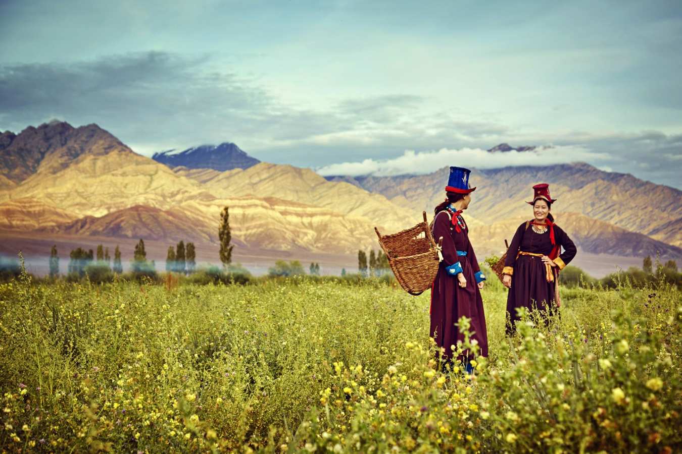 Village Walk - Chamba Camp, Thiksey