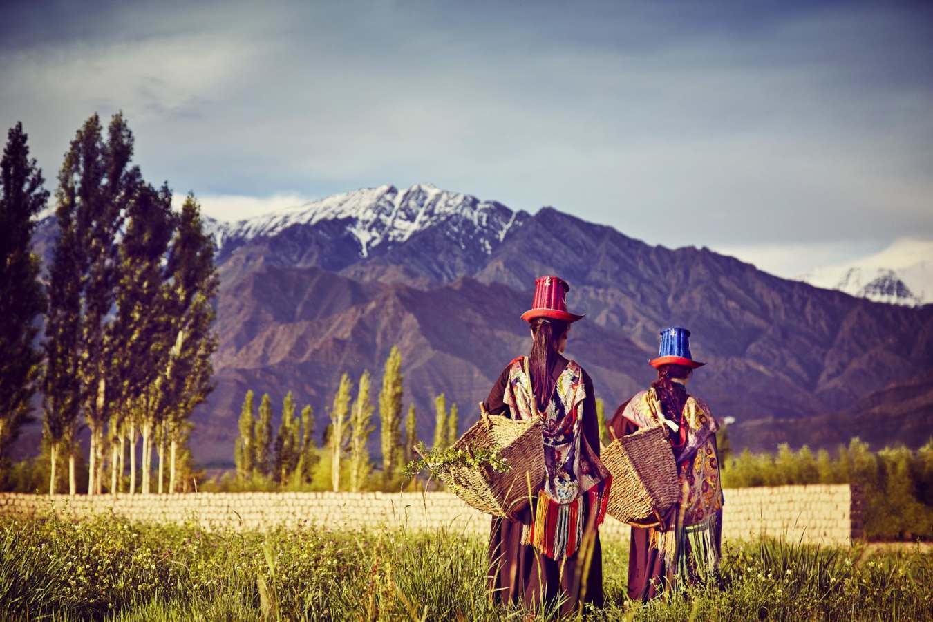 Village Walk - Chamba Camp, Thiksey