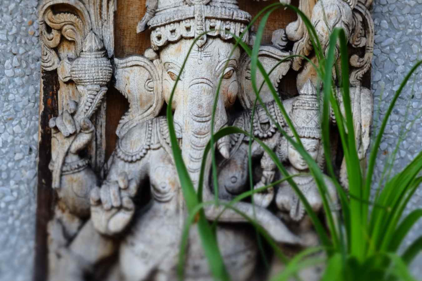 Art at Thikana - Thikana Delhi