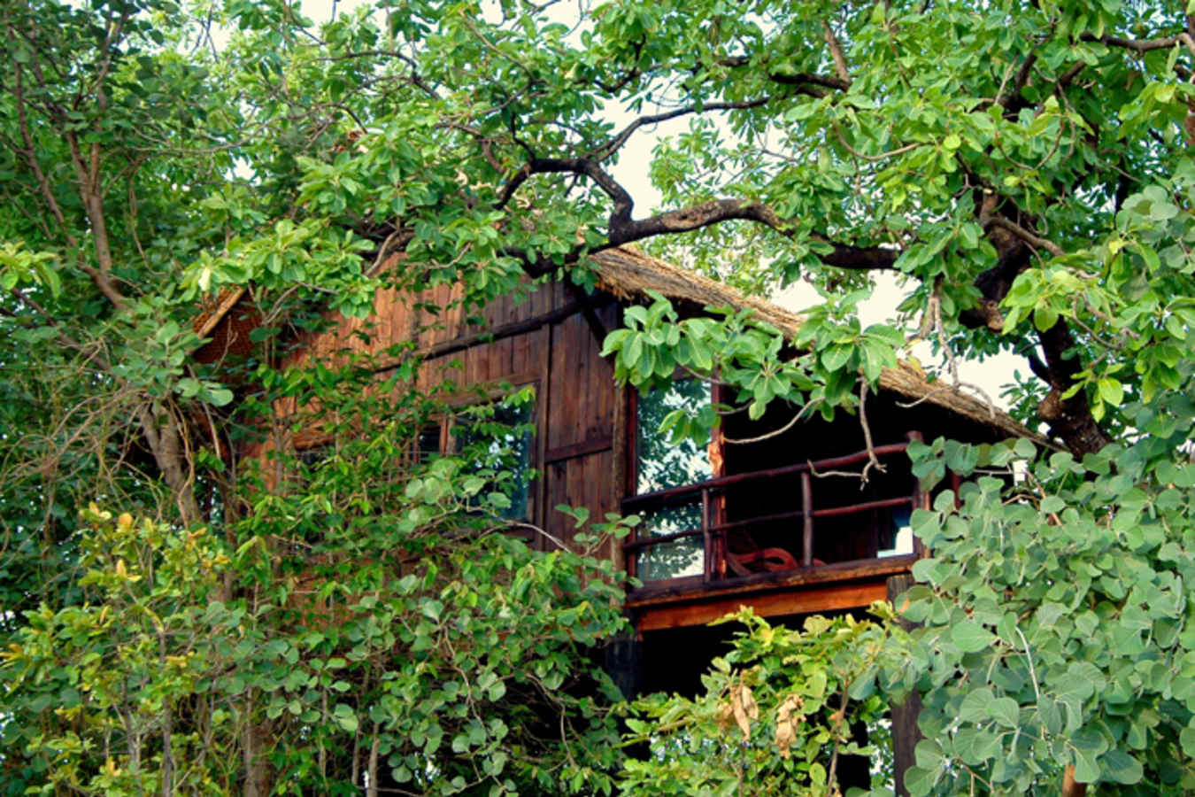 exterior - Treehouse Hideaway